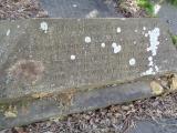 image of grave number 947666